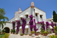 resort-spa-salemto-5-stelle