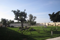 Masseria-montalbano-fasano