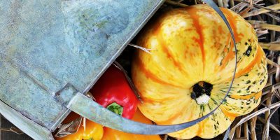 Trattamenti benessere alla Zucca
