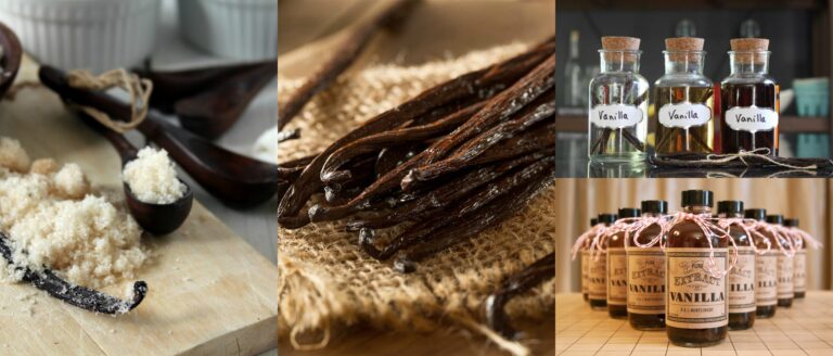 Trattamenti benessere alla Vaniglia