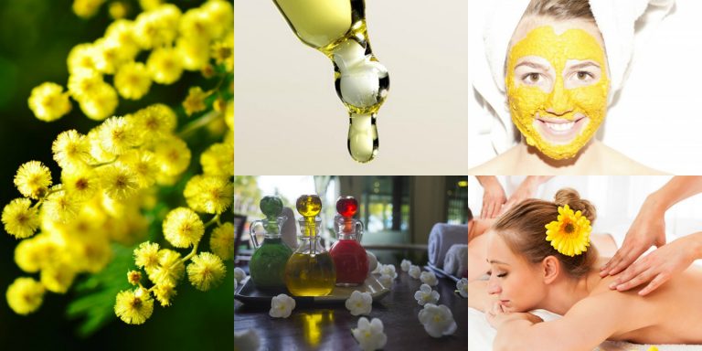 Trattamenti benessere alla mimosa