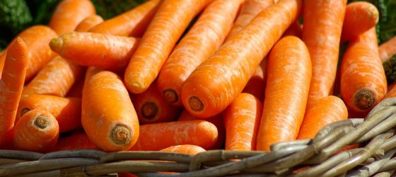 trattamenti benessere alle carote