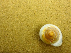 Mare e SPA: il massaggio con le conchiglie