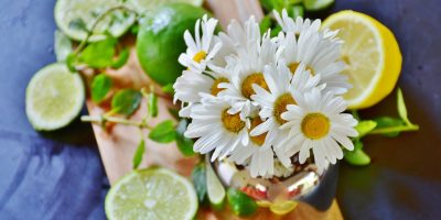 Energia e Benessere con Menta e Agrumi