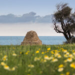 Primavera in Puglia
